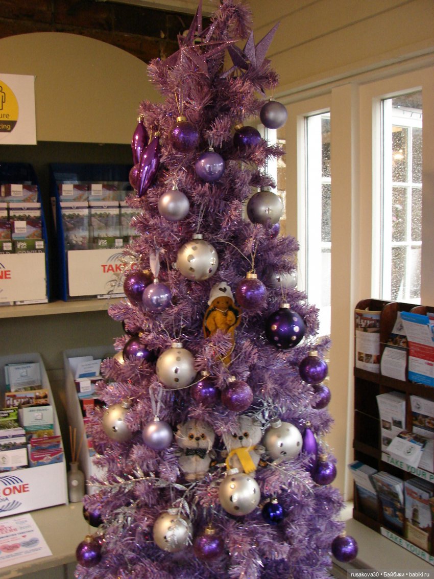 Сашенька путешествует по Англии