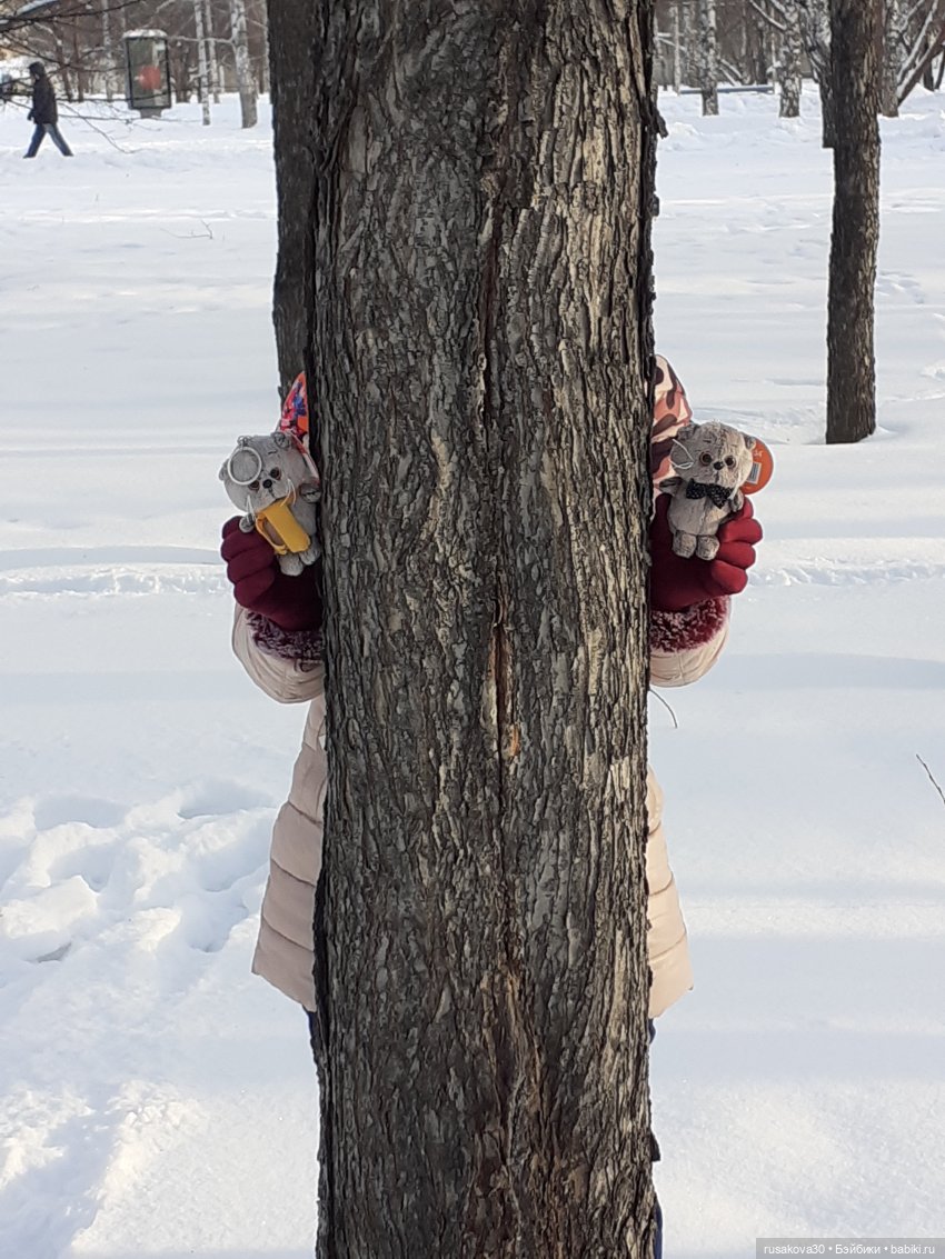 Как мы с Басиками подружились