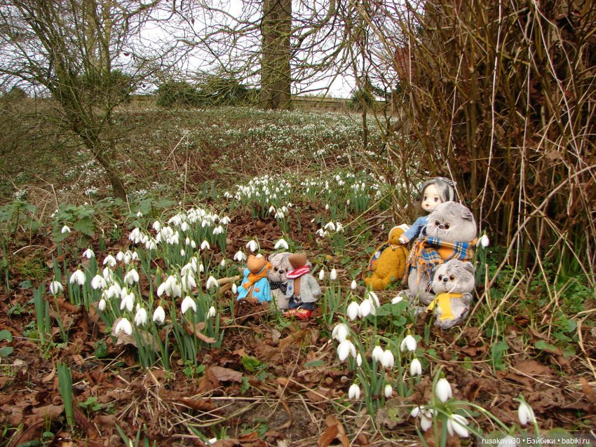 Прогулка по Оксбр-холлу (Oxburgh Hall)