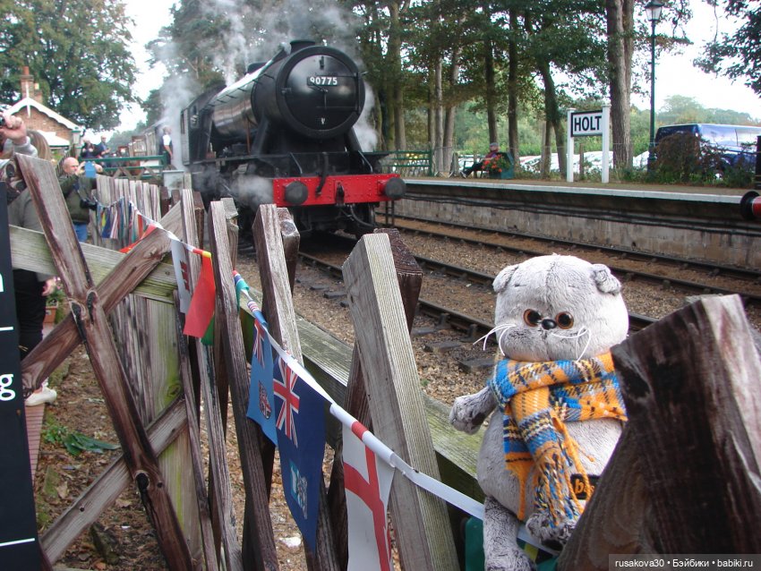 Как мы с Басиками подружились