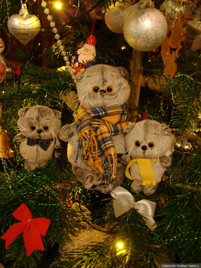 Как мы с Басиками подружились