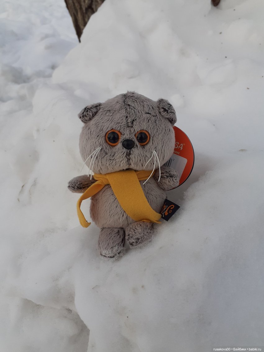 Как мы с Басиками подружились