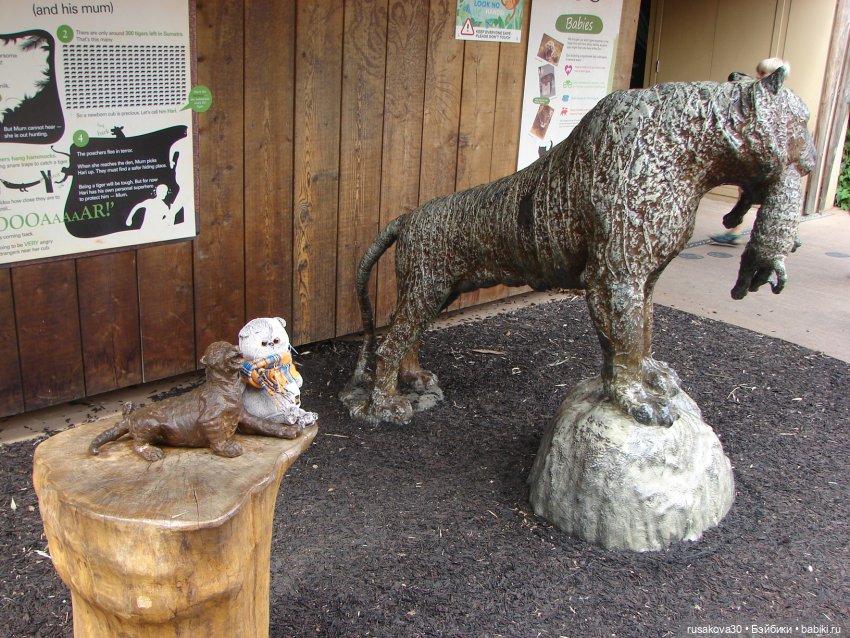 Как мы с Басиками подружились