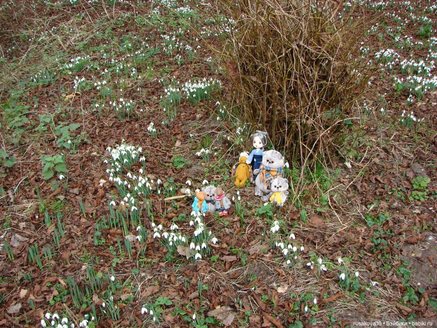 Прогулка по Оксбр-холлу (Oxburgh Hall)