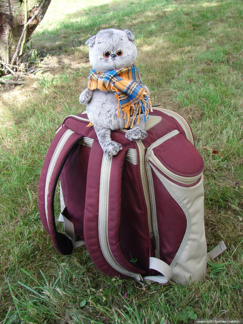 Как мы с Басиками подружились