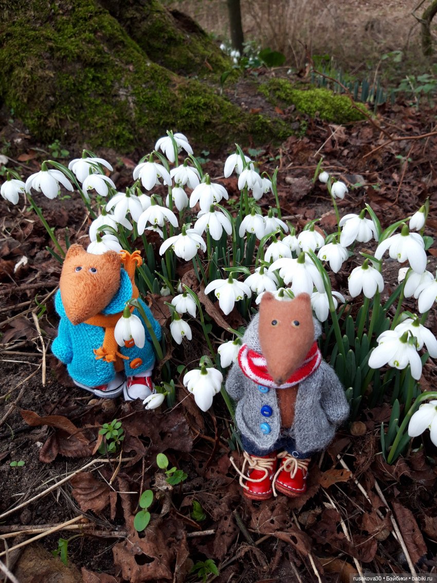 Прогулка по Оксбр-холлу (Oxburgh Hall)