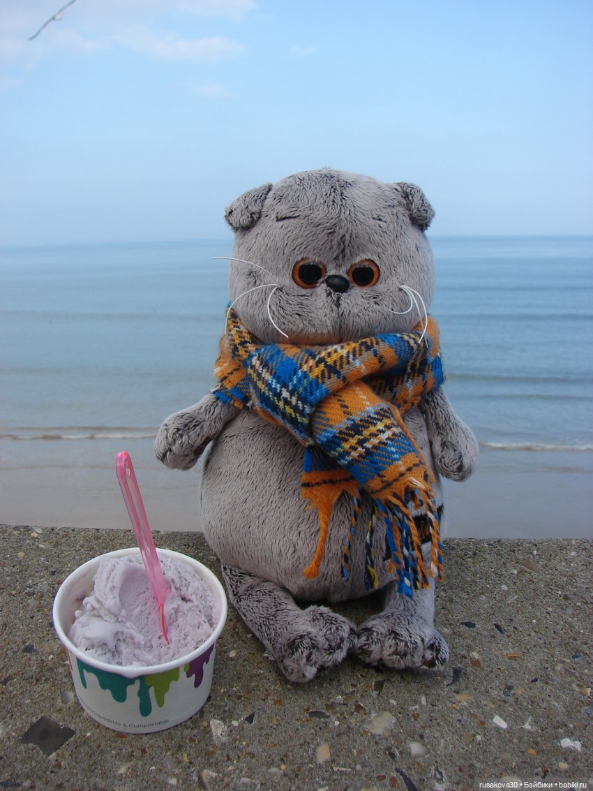 Как мы с Басиками подружились