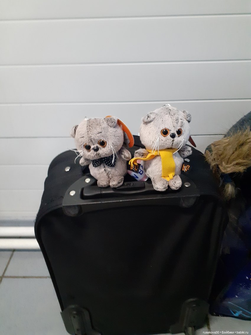 Как мы с Басиками подружились