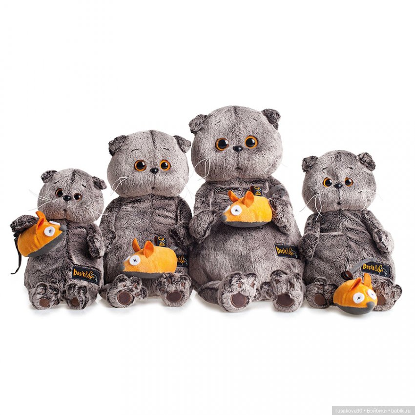 Как мы с Басиками подружились