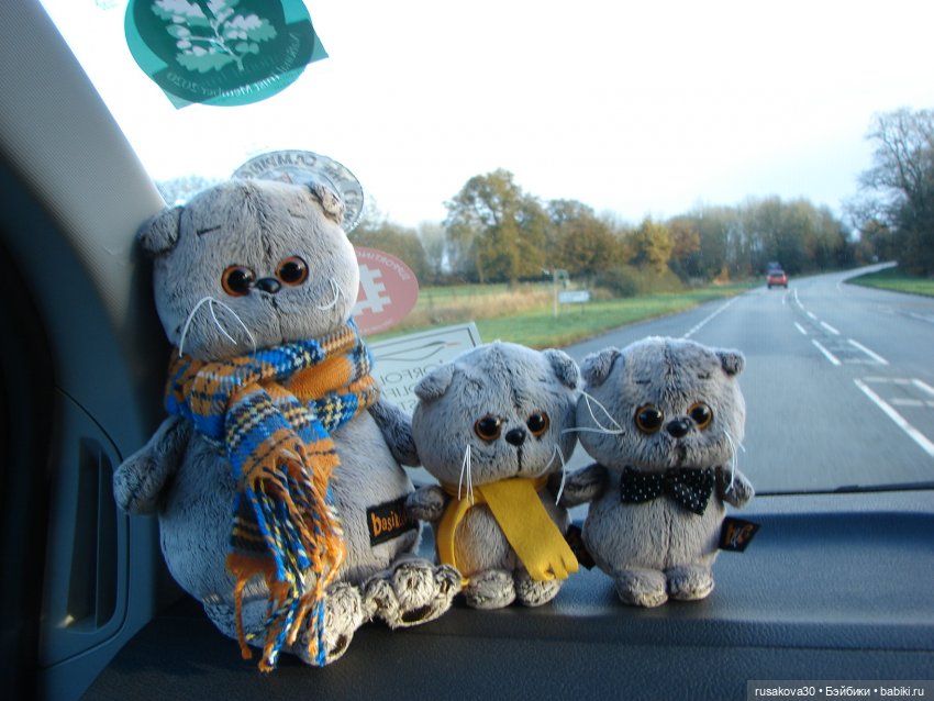 Как мы с Басиками подружились