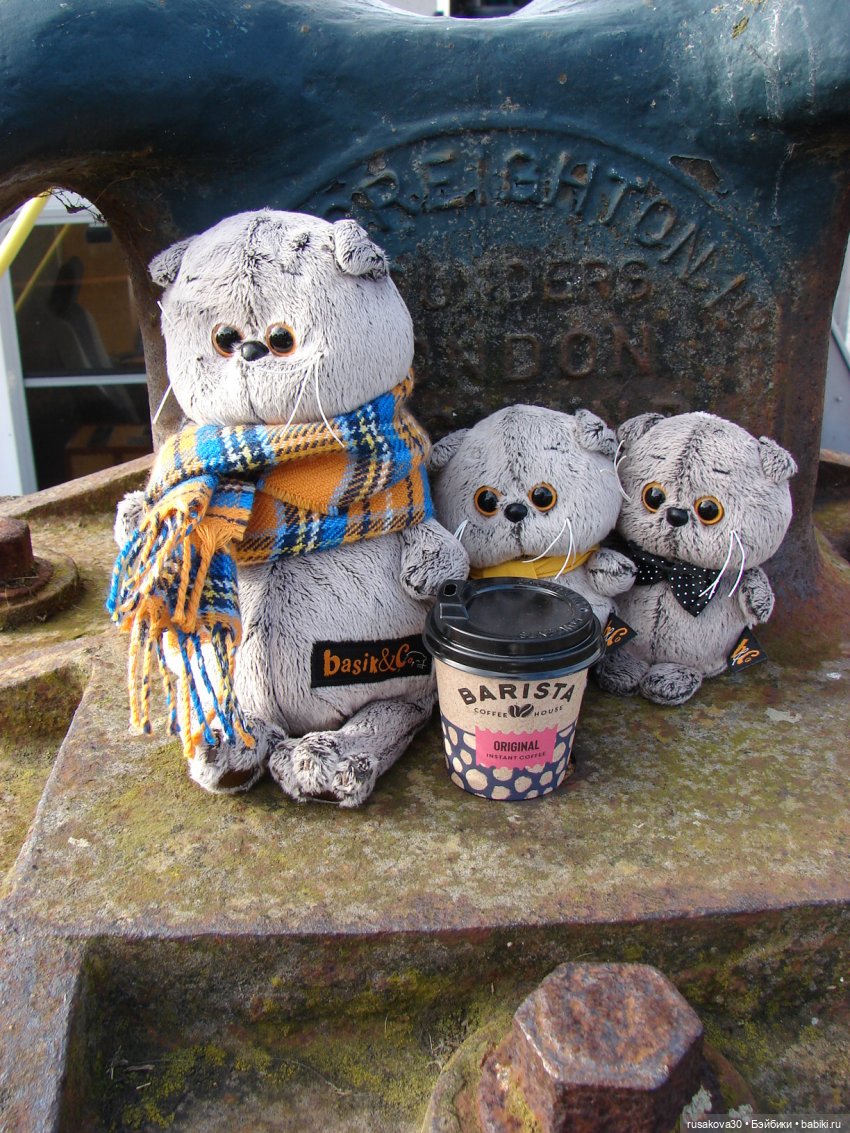 Как мы с Басиками подружились