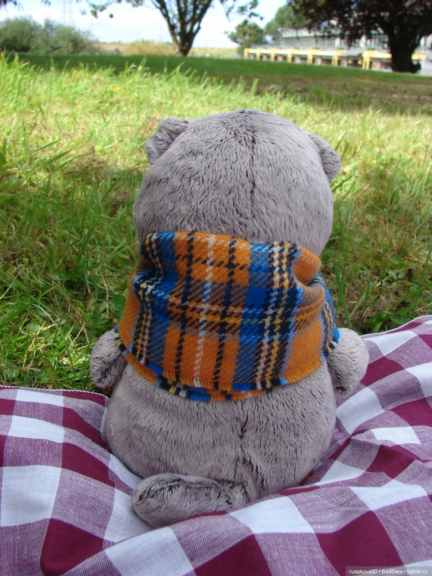 Как мы с Басиками подружились