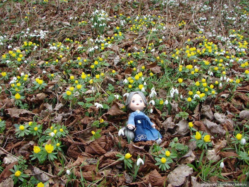 Прогулка по Оксбр-холлу (Oxburgh Hall)