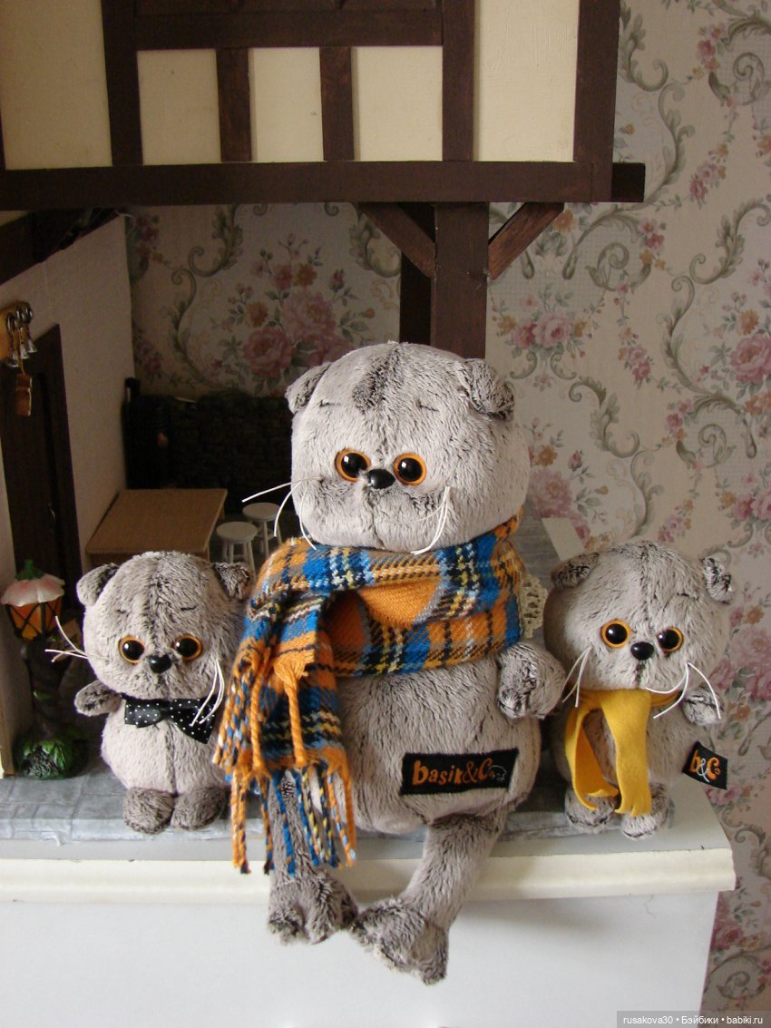 Как мы с Басиками подружились