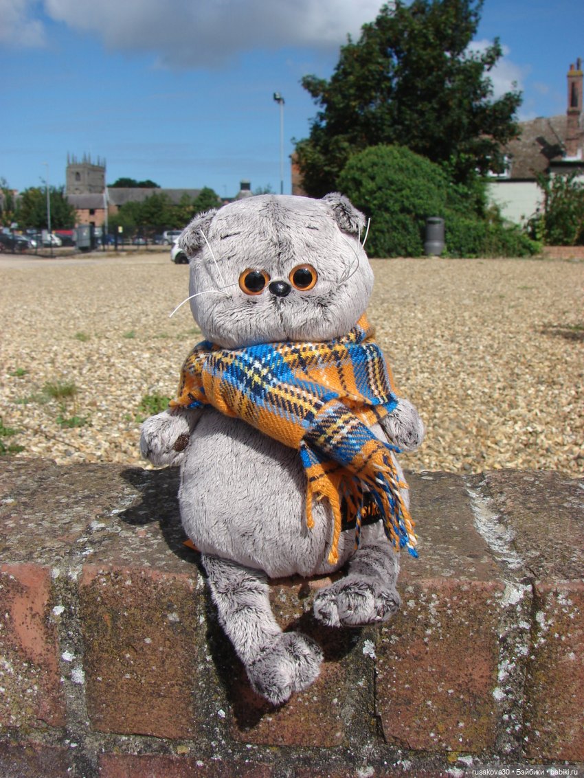 Как мы с Басиками подружились