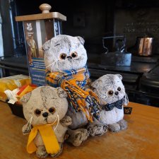 Как мы с Басиками подружились