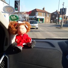 Рыжик Мийка путешествует.