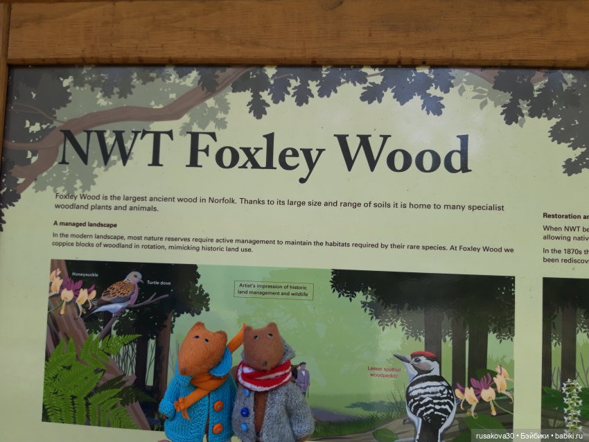 Людвиг и Нильс на прогулке