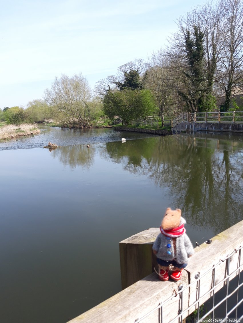 Людвиг и Нильс на прогулке (фото 7)