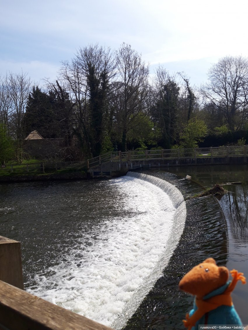 Людвиг и Нильс на прогулке (фото 8)