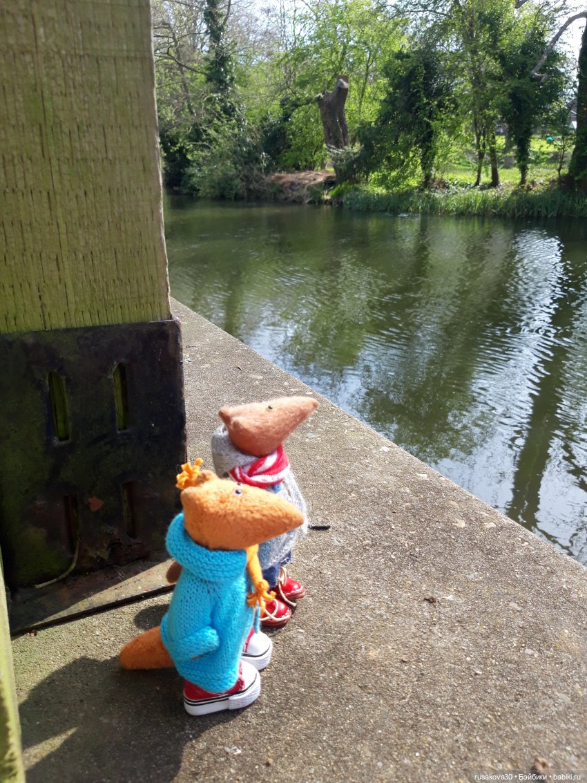 Людвиг и Нильс на прогулке (фото 6)