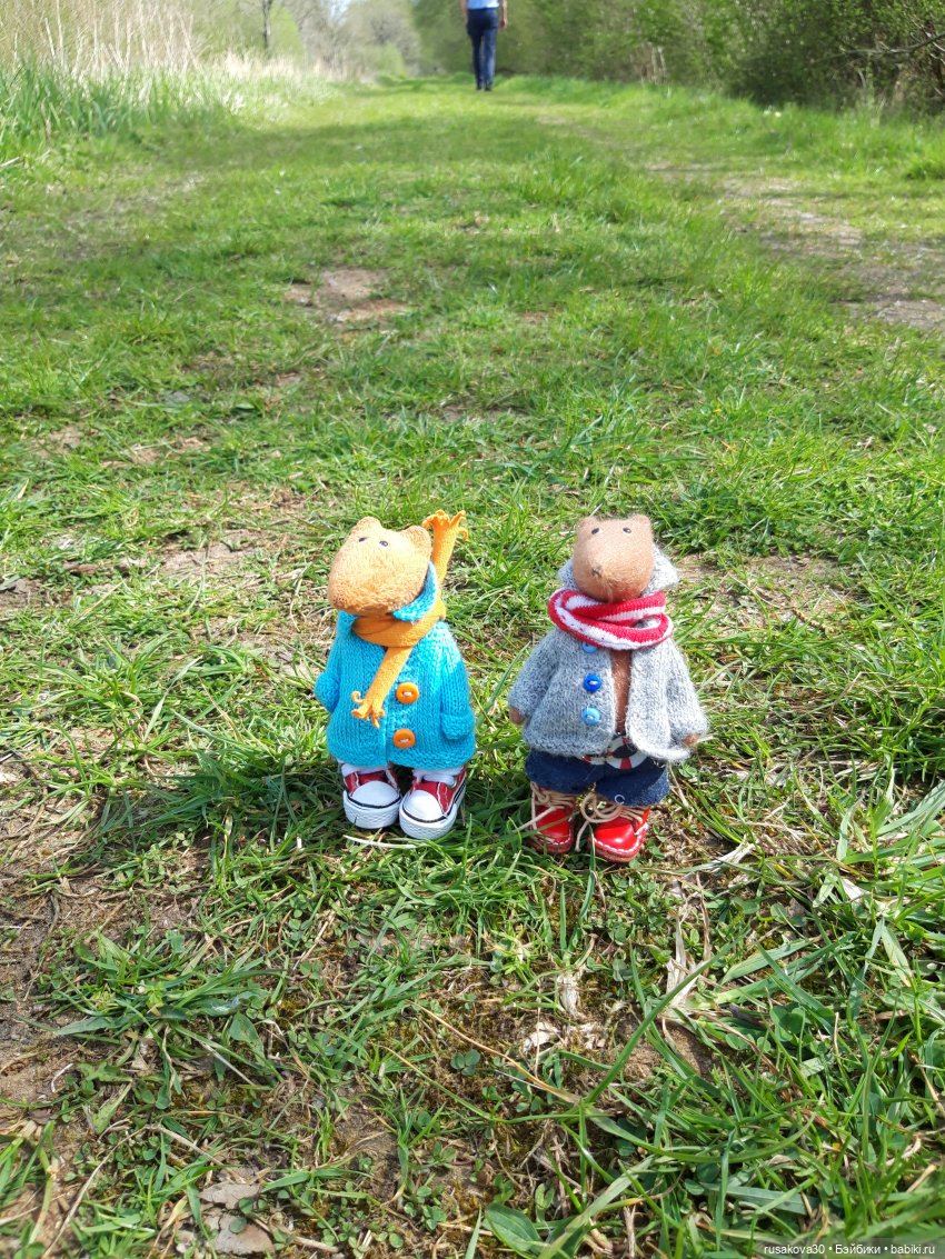 Людвиг и Нильс на прогулке (фото 2)