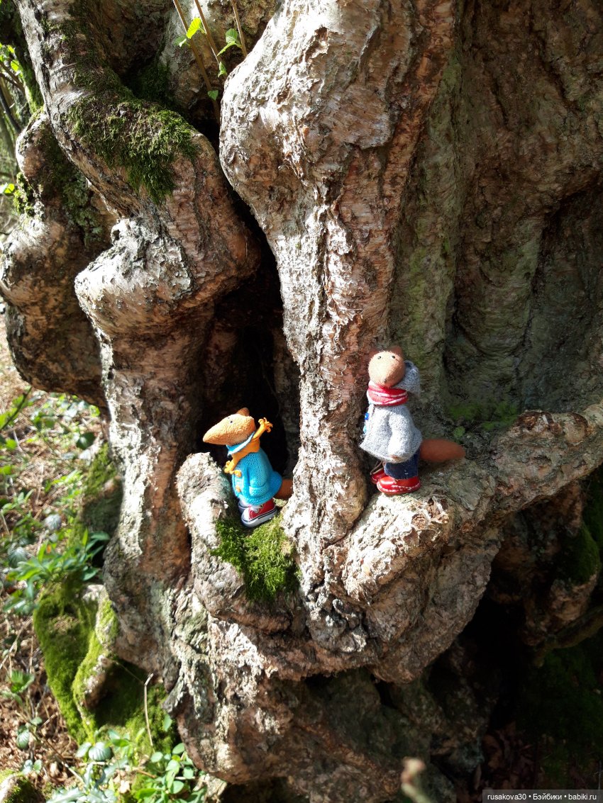 Людвиг и Нильс на прогулке (фото 9)