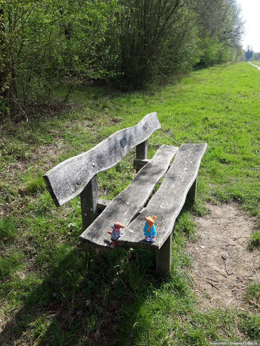 Людвиг и Нильс на прогулке (фото 3)