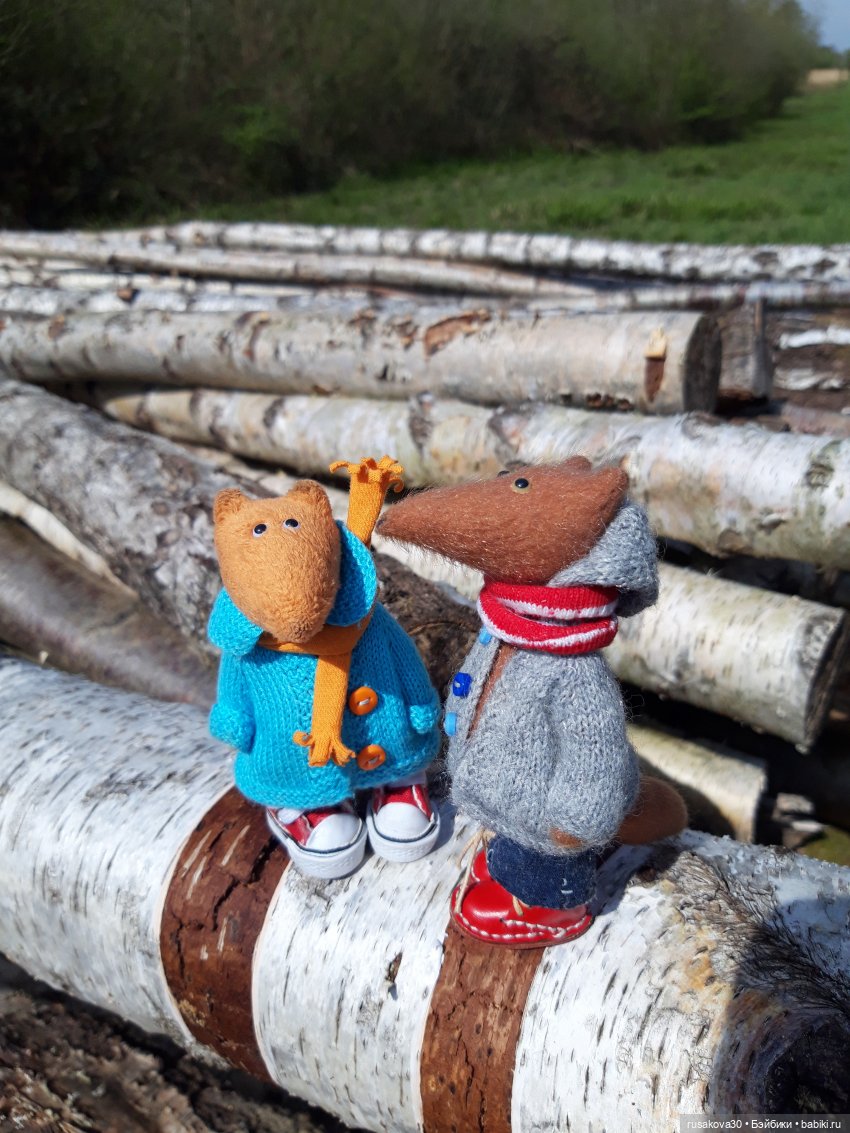 Людвиг и Нильс на прогулке