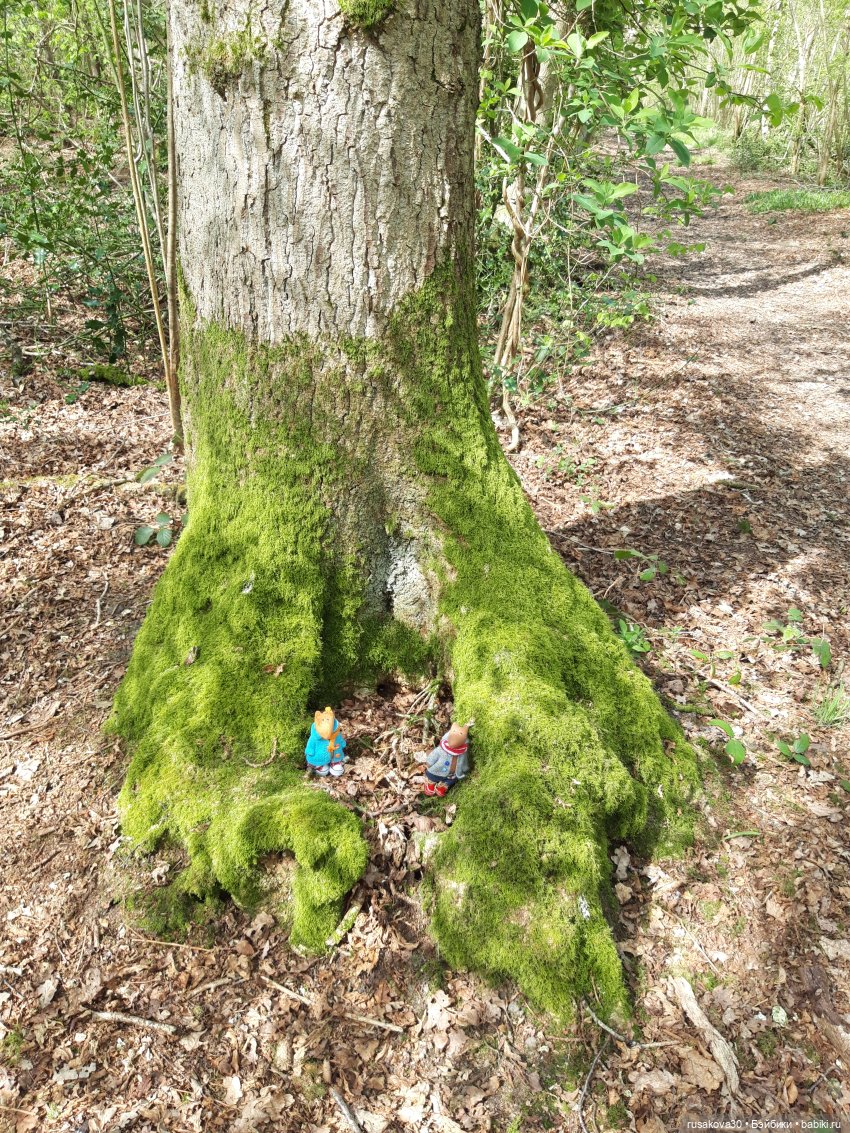 Людвиг и Нильс на прогулке