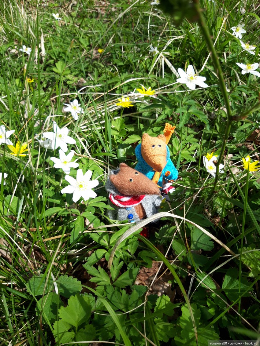 Людвиг и Нильс на прогулке (фото 5)