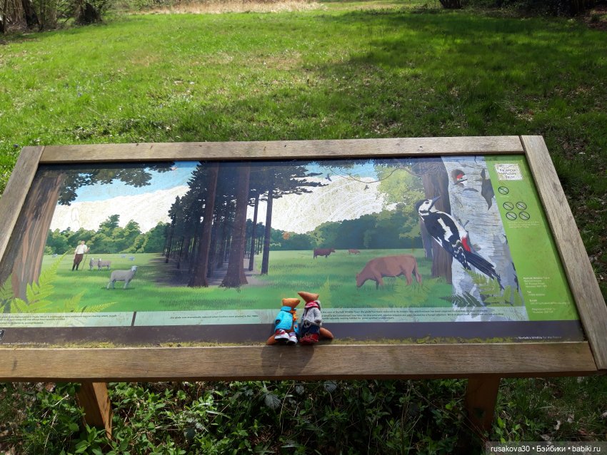 Людвиг и Нильс на прогулке