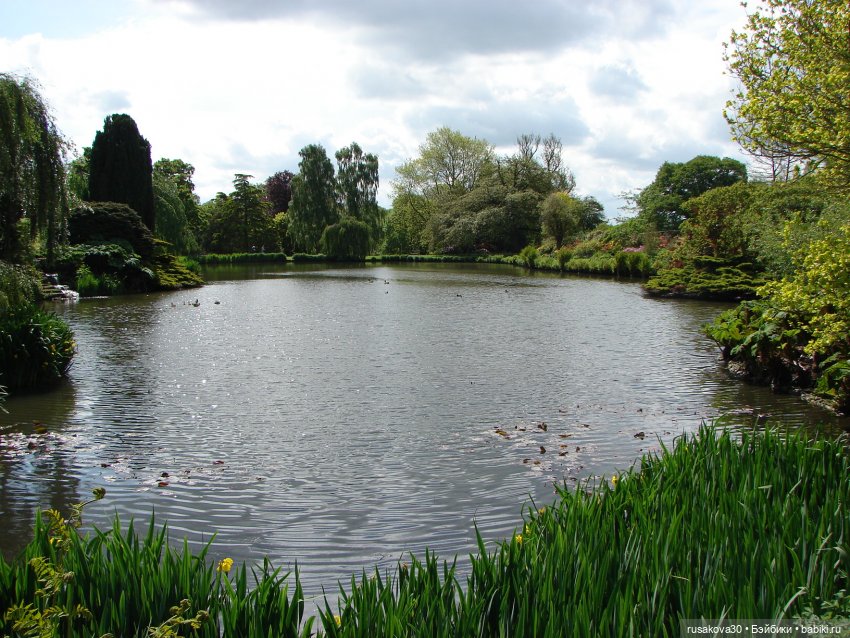 Мийка и Мио в загородном поместье королевы (фото 8)