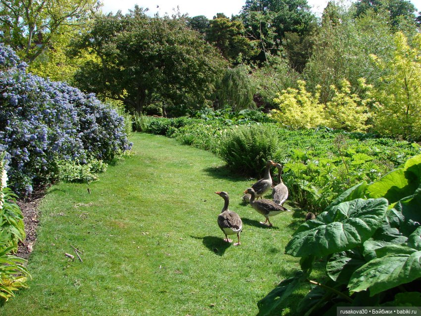 Мийка и Мио в загородном поместье королевы