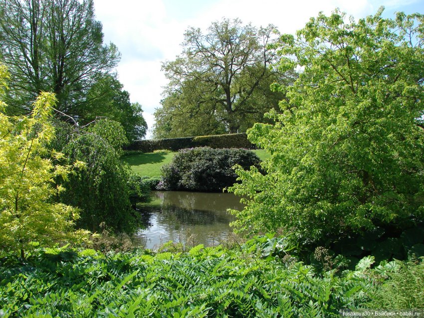 Мийка и Мио в загородном поместье королевы