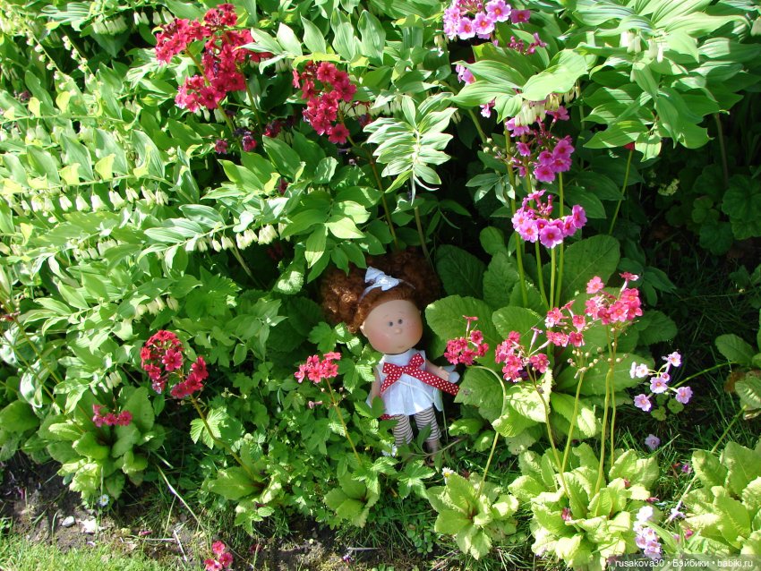 Мийка и Мио в загородном поместье королевы