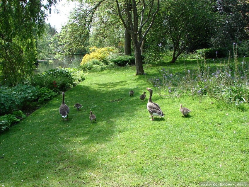 Мийка и Мио в загородном поместье королевы