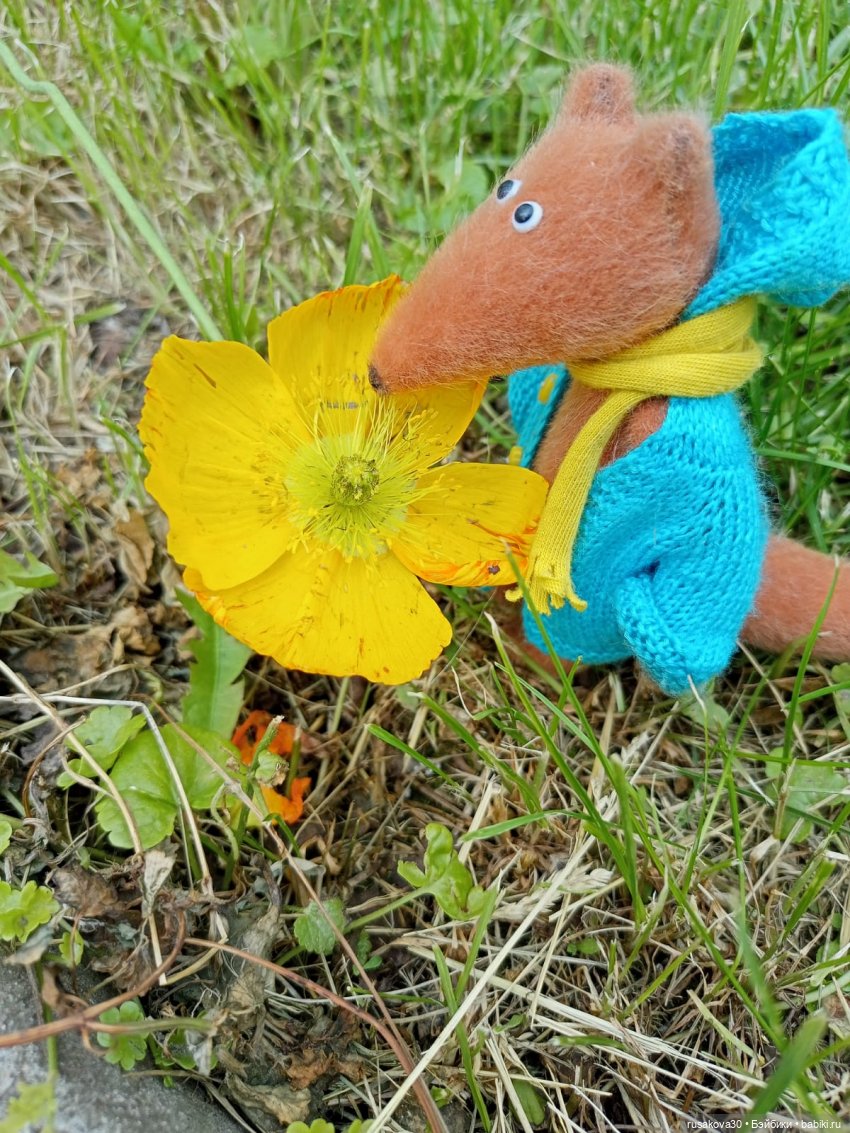 Привет из далекой Сибири — Авторские мишки Тедди и друзья: фото