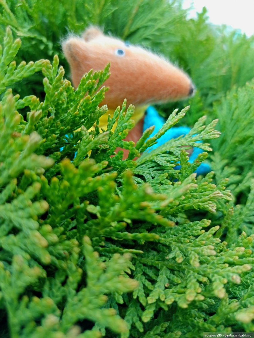 Привет из далекой Сибири — Авторские мишки Тедди и друзья: фото