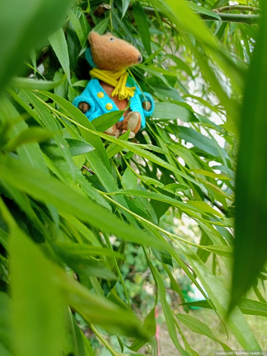 Привет из далекой Сибири — Авторские мишки Тедди и друзья: фото