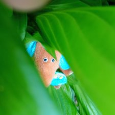 Привет из далекой Сибири!