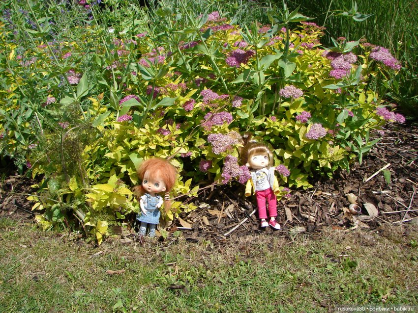 Как Маруська и Баська к морю ездили