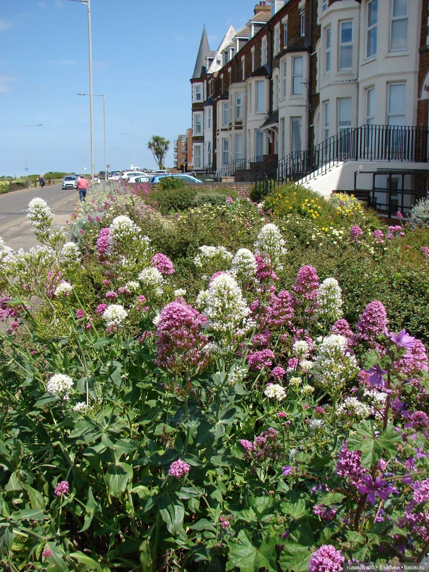 Как Маруська и Баська к морю ездили
