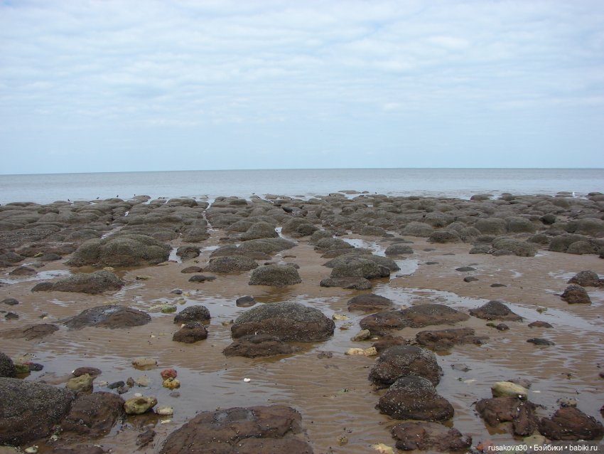 Как Маруська и Баська к морю ездили (фото 4)