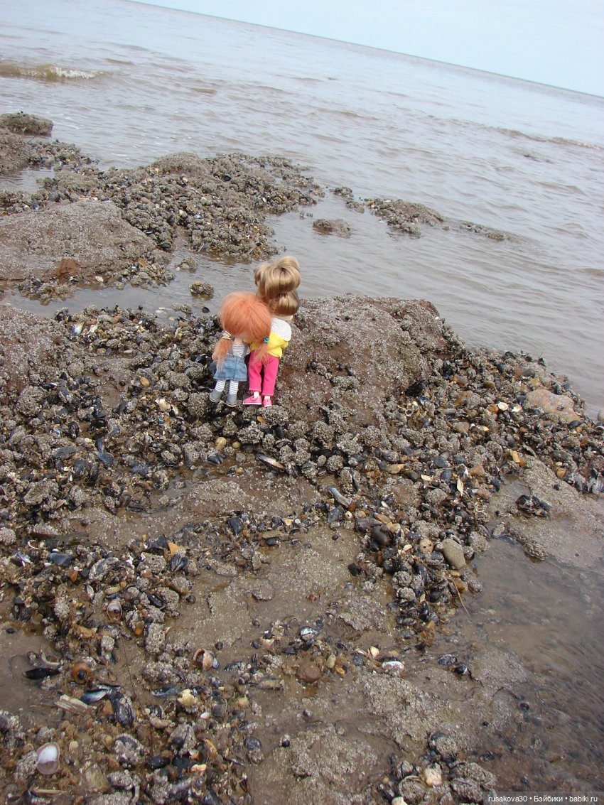 Как Маруська и Баська к морю ездили (фото 8)