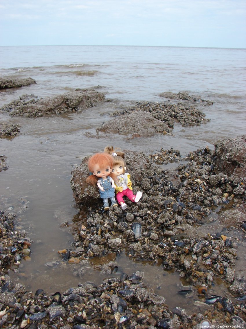 Как Маруська и Баська к морю ездили (фото 6)