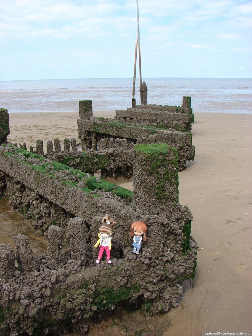 Как Маруська и Баська к морю ездили (фото 9)