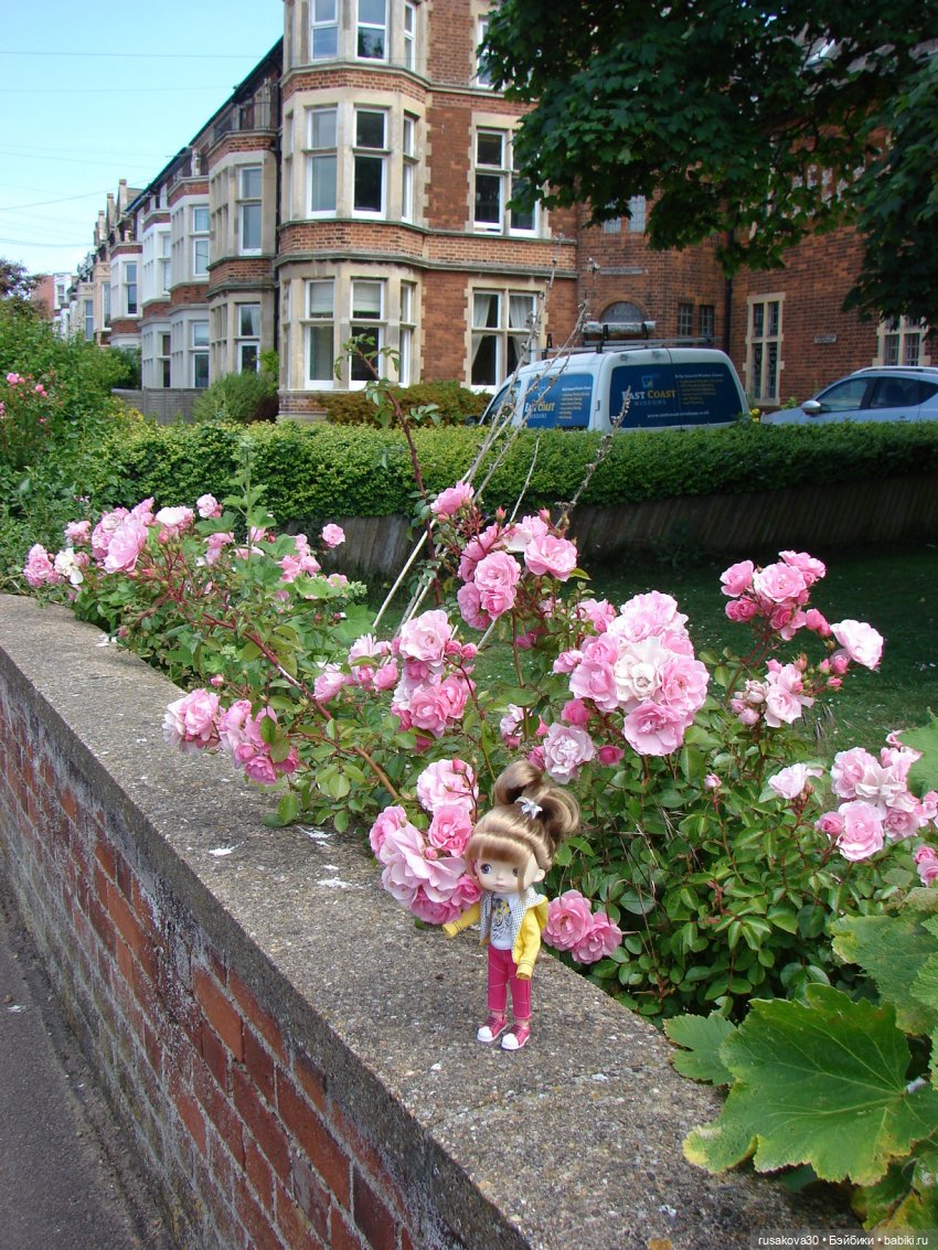 Как Маруська и Баська к морю ездили