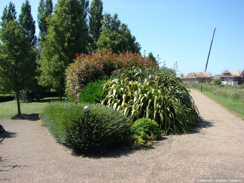 Прогулка моих бабаек в новом парке (фото 2)