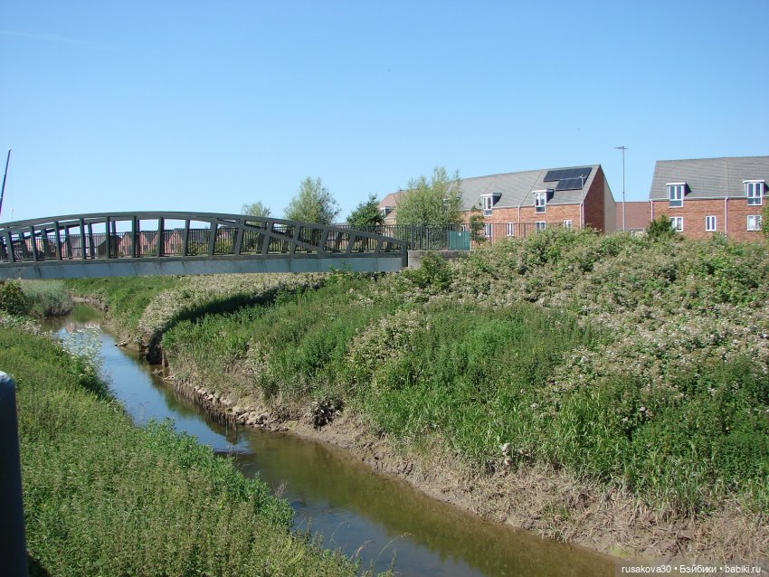 Прогулка моих бабаек в новом парке (фото 3)